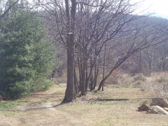 2199 Afton Mountain Road Afton, VA 22920 - Photo 3 of 7 Gallery Image 3