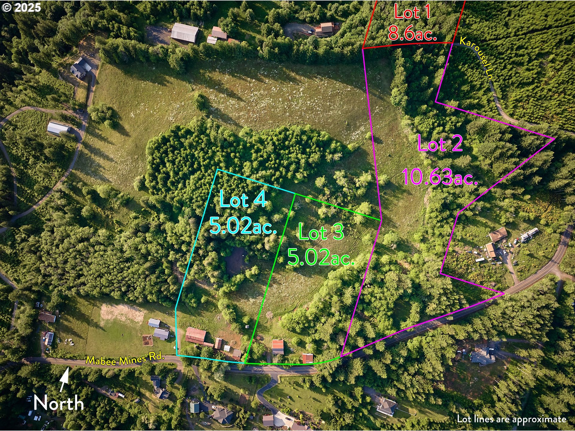 a view of a garden with a lake