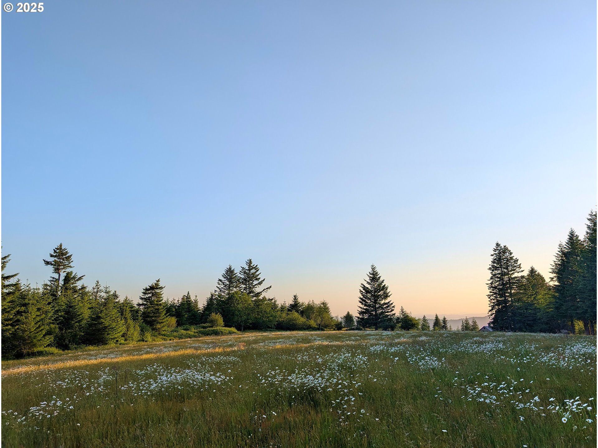 1671 Mabee Mines Road, Unit 3 Washougal, WA 98671 - Photo 12 of 19 a view of a grassy field with trees
