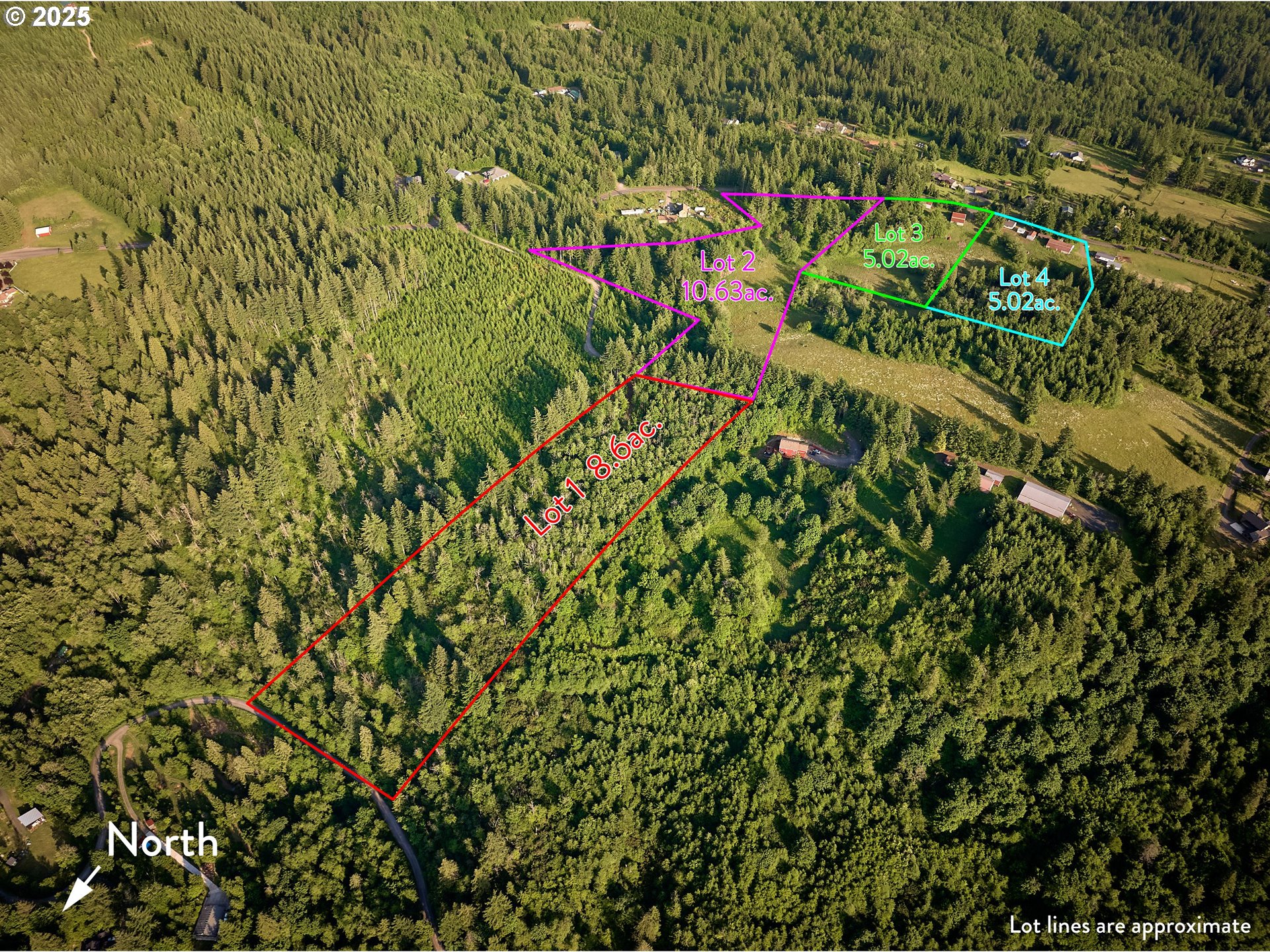 1671 Mabee Mines Road, Unit 3 Washougal, WA 98671 - Photo 2 of 19 a view of a plant in a garden