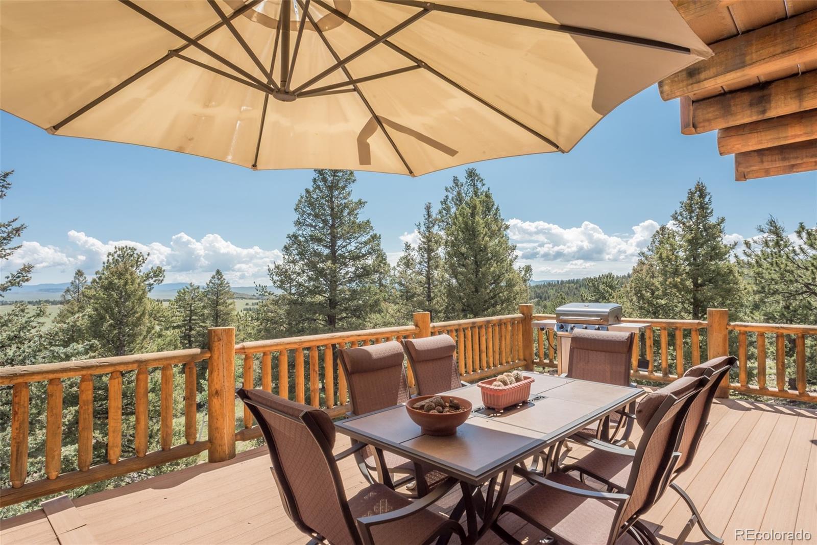 3731 Singletree Road Hartsel, CO 80449 - Photo 5 of 40