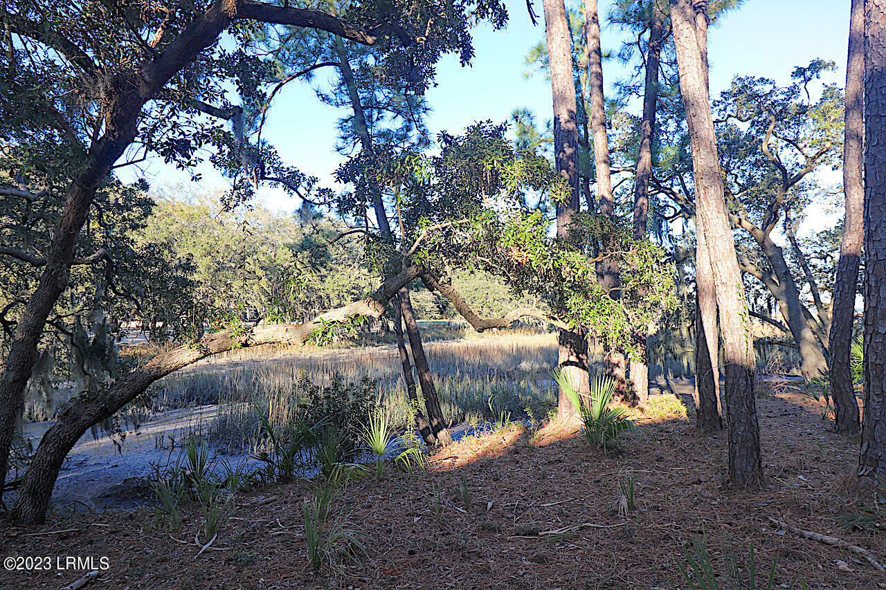 8 Reeve Court St. Helena Island, SC 29920 - Photo 4 of 10 4