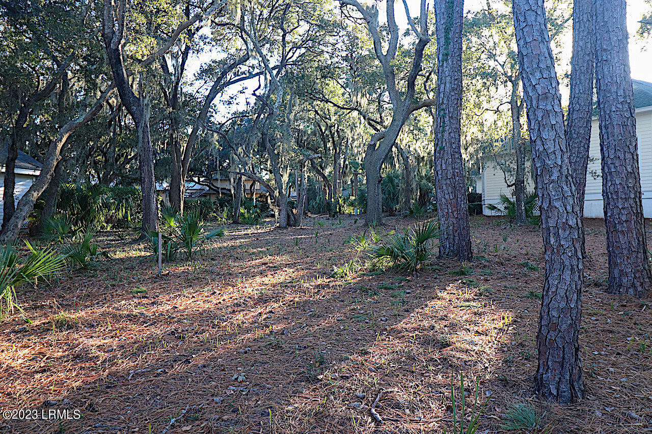8 Reeve Court St. Helena Island, SC 29920 - Photo 9 of 10 9
