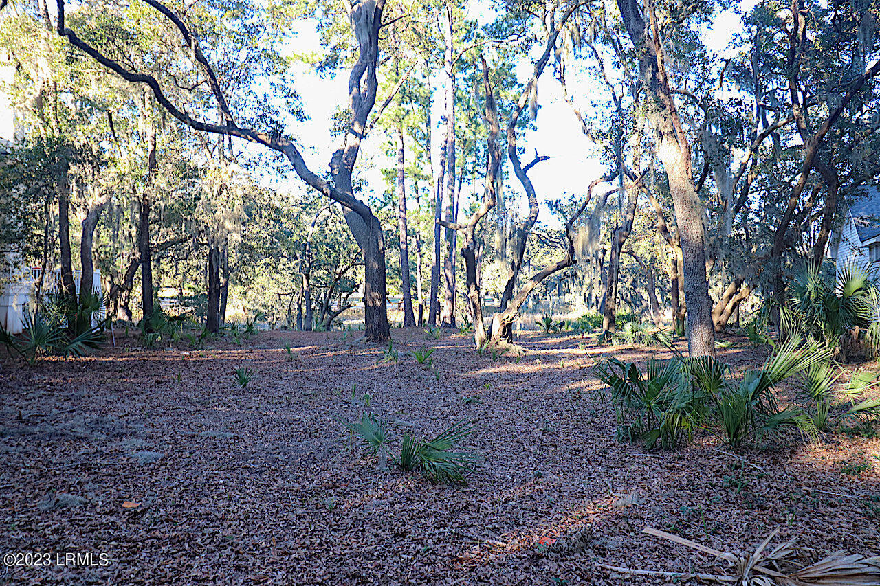 8 Reeve Court St. Helena Island, SC 29920 - Photo 10 of 10 10