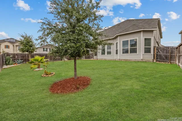 a view of a backyard with a garden and plants