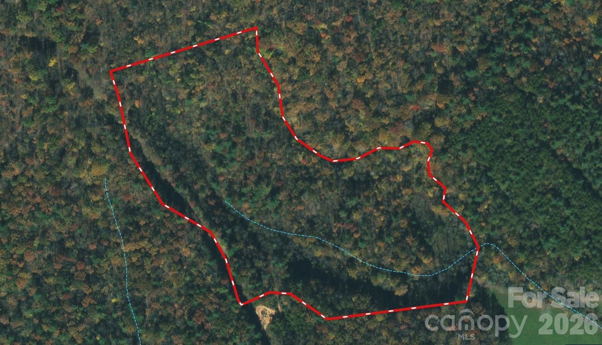 3024 Pearson Mountain Road Boomer, NC 28606 - Photo 9 of 39 Gallery Image 9