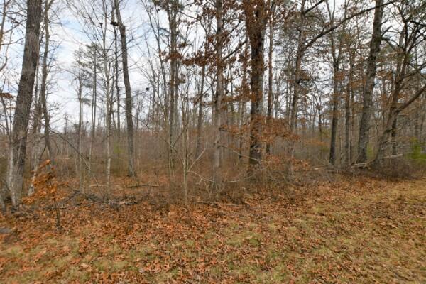 150 Tn-150 Sequatchie Tn 37374, Unit 2 Sequatchie, TN 37374 - Photo 2 of 8 Hwy 150 Lot 2 pic2