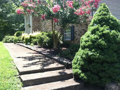 Mill Rd sidewalk view.jpg