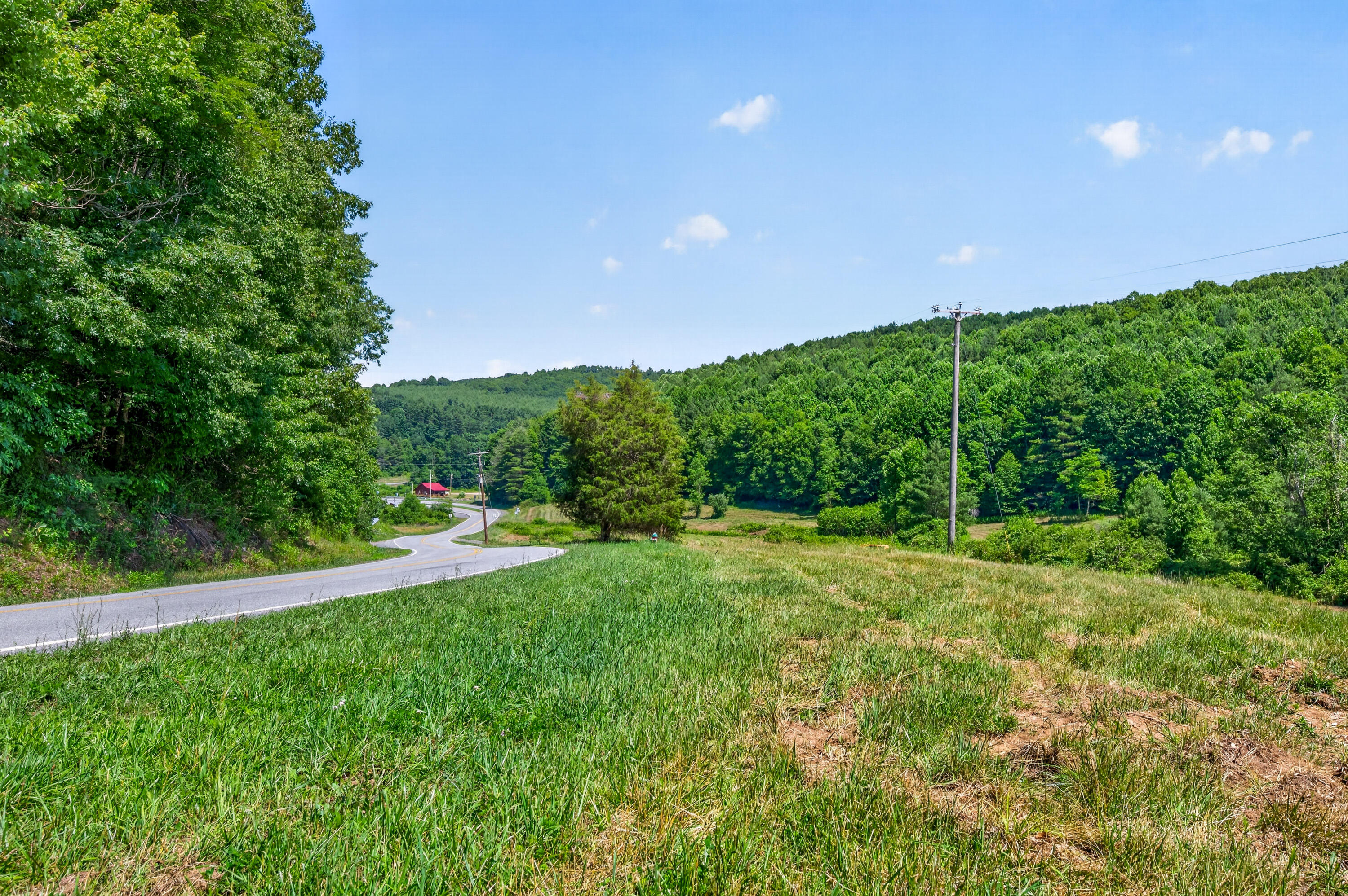 6196 Chances Creek Road Fancy Gap, VA 24328 - Photo 65 of 78 66
