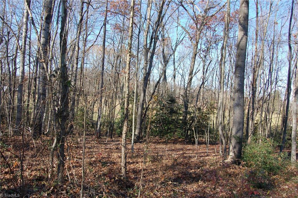 0 Martin Byrd Road Elkin, NC 28621 - Photo 4 of 9 Gallery Image 4
