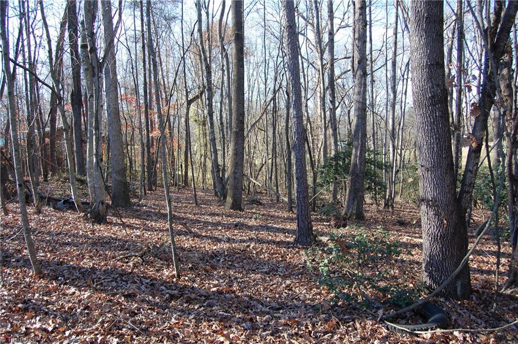 0 Martin Byrd Road Elkin, NC 28621 - Photo 6 of 9 Gallery Image 6