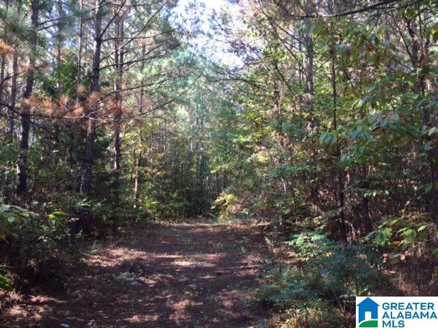 280 Saltsman Road, Unit 80± ACRES Alexander City, AL 35010 - Photo 10 of 17