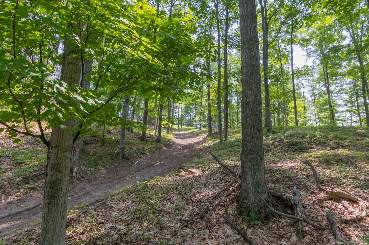 7557 South Schomberg Road Cedar, MI 49621 - Photo 6 of 52