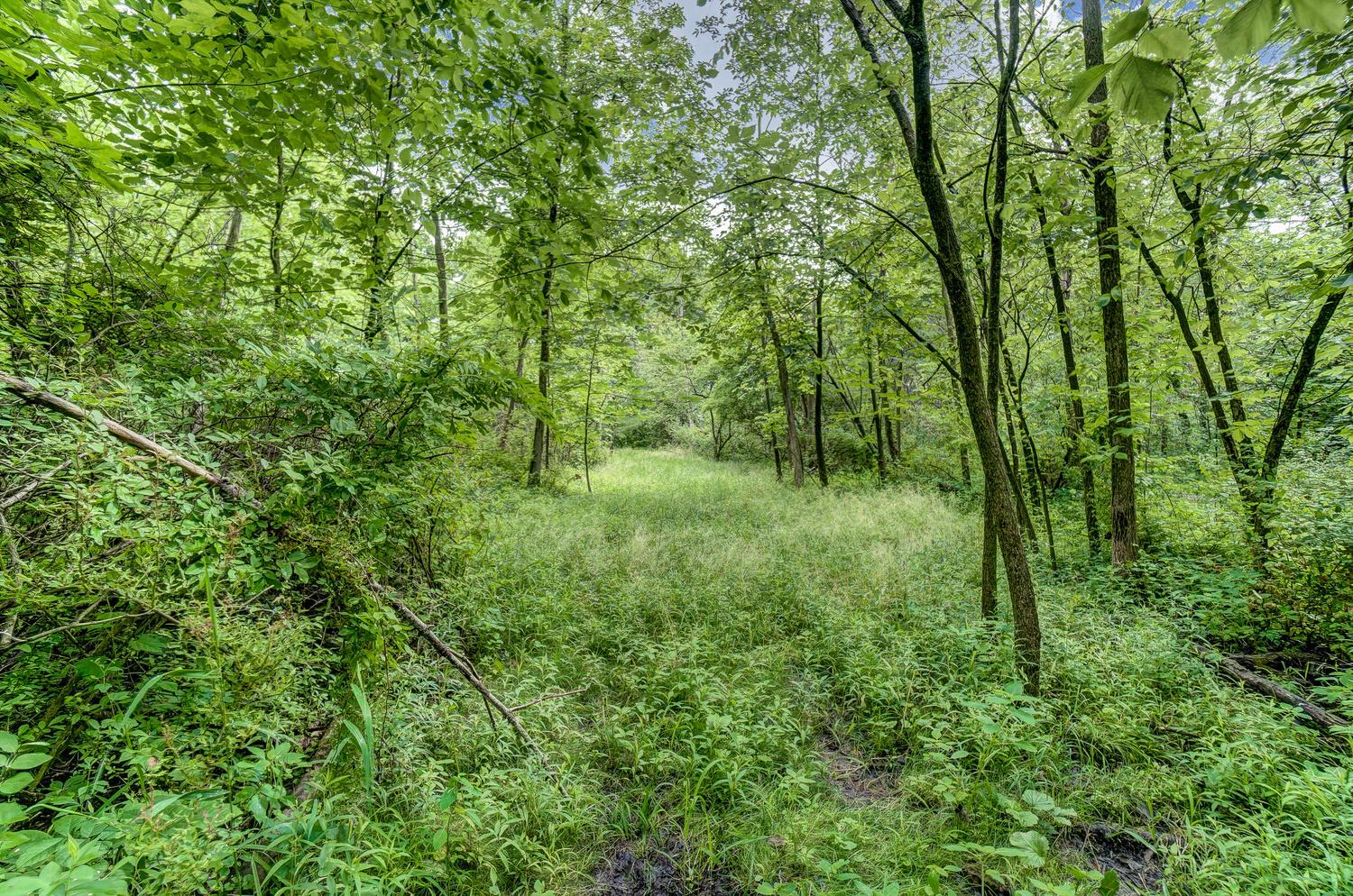 6500 Home Road Delaware, OH 43015 - Photo 60 of 60 Gallery Image 60