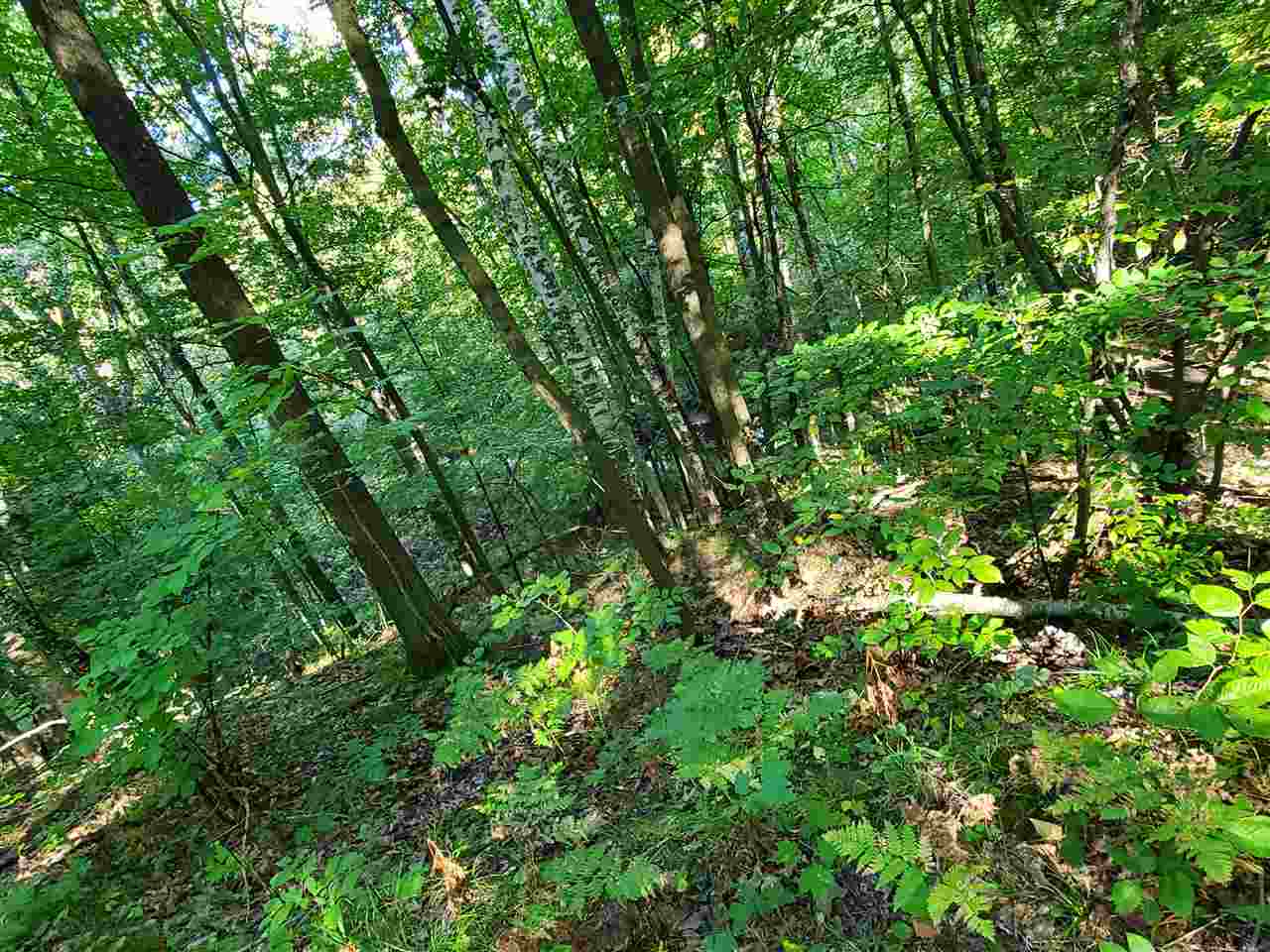 West Fike Road Coleman, MI 48618 - Photo 23 of 26
