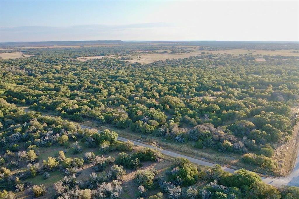 Lot 109 New Hope Road Palo Pinto, TX 76484 - Photo 6 of 6