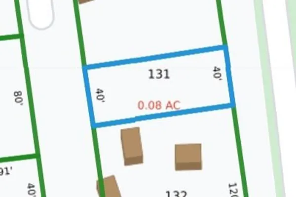 a view of a forest with trees in the background