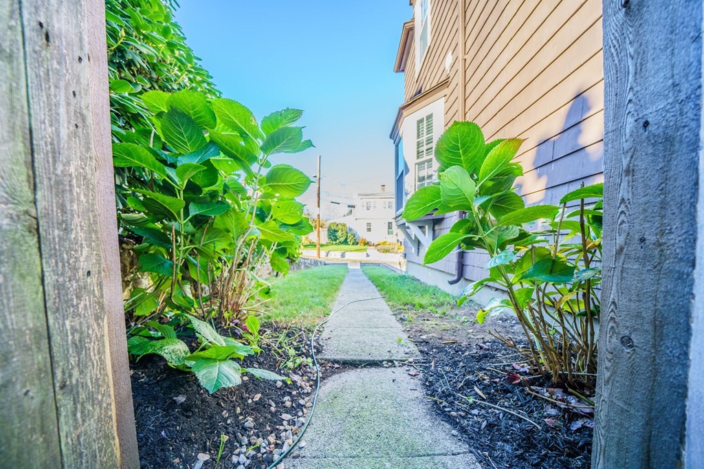 8 Samoset Road Dedham, MA 02026 - Photo 24 of 35 a view of a pathway with plants