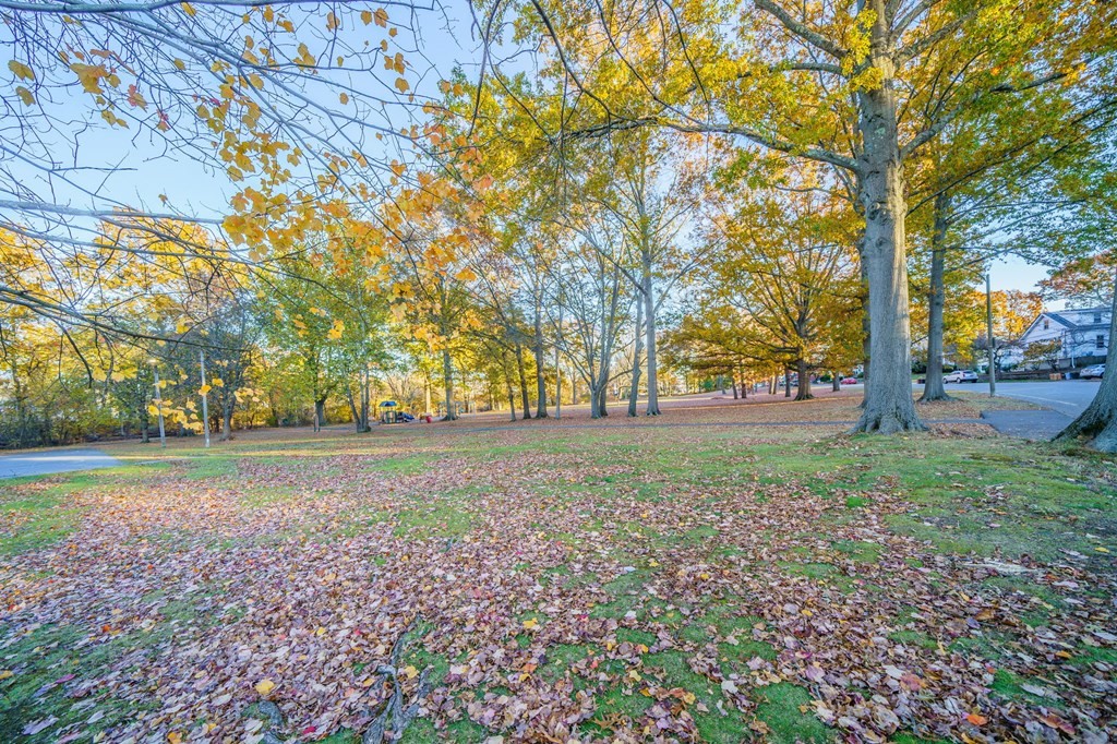 8 Samoset Road Dedham, MA 02026 - Photo 25 of 35 a view of outdoor space with garden and trees