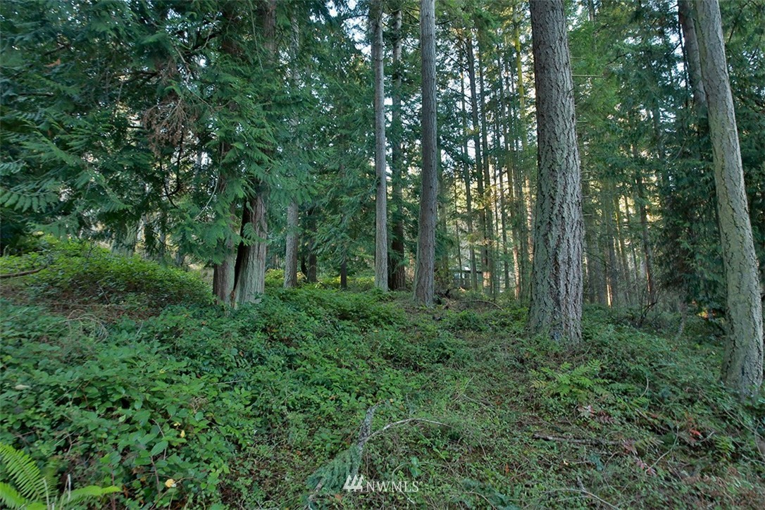 3787 Resort Road Greenbank, WA 98253 - Photo 14 of 33 Gallery Image 14