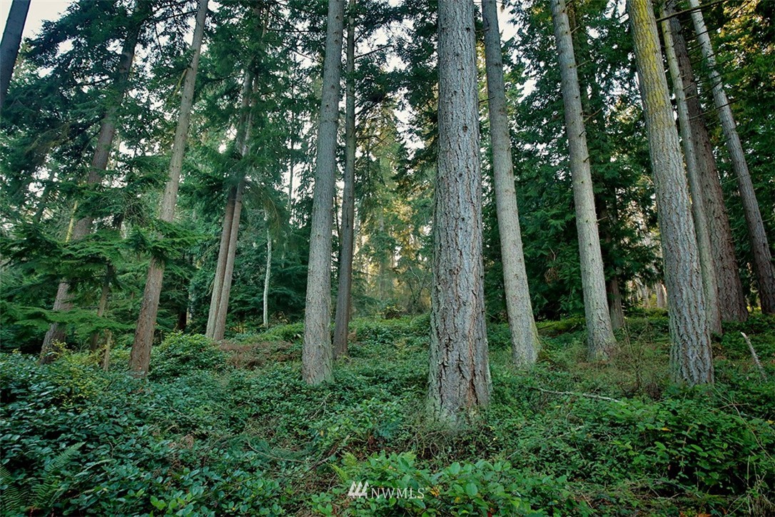 3787 Resort Road Greenbank, WA 98253 - Photo 15 of 33 Gallery Image 15