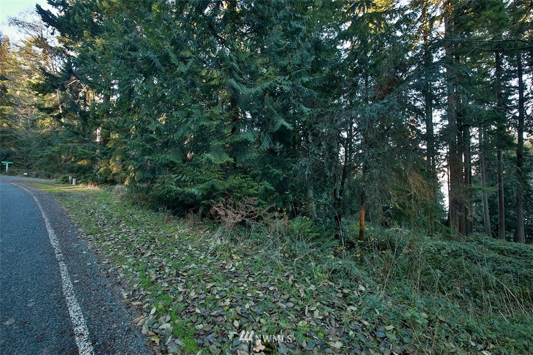 3787 Resort Road Greenbank, WA 98253 - Photo 19 of 33 Gallery Image 19