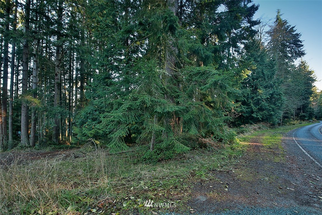 3787 Resort Road Greenbank, WA 98253 - Photo 4 of 33 Gallery Image 4