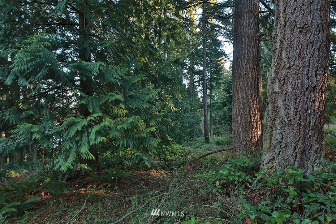 3787 Resort Road Greenbank, WA 98253 - Photo 5 of 33 Gallery Image 5