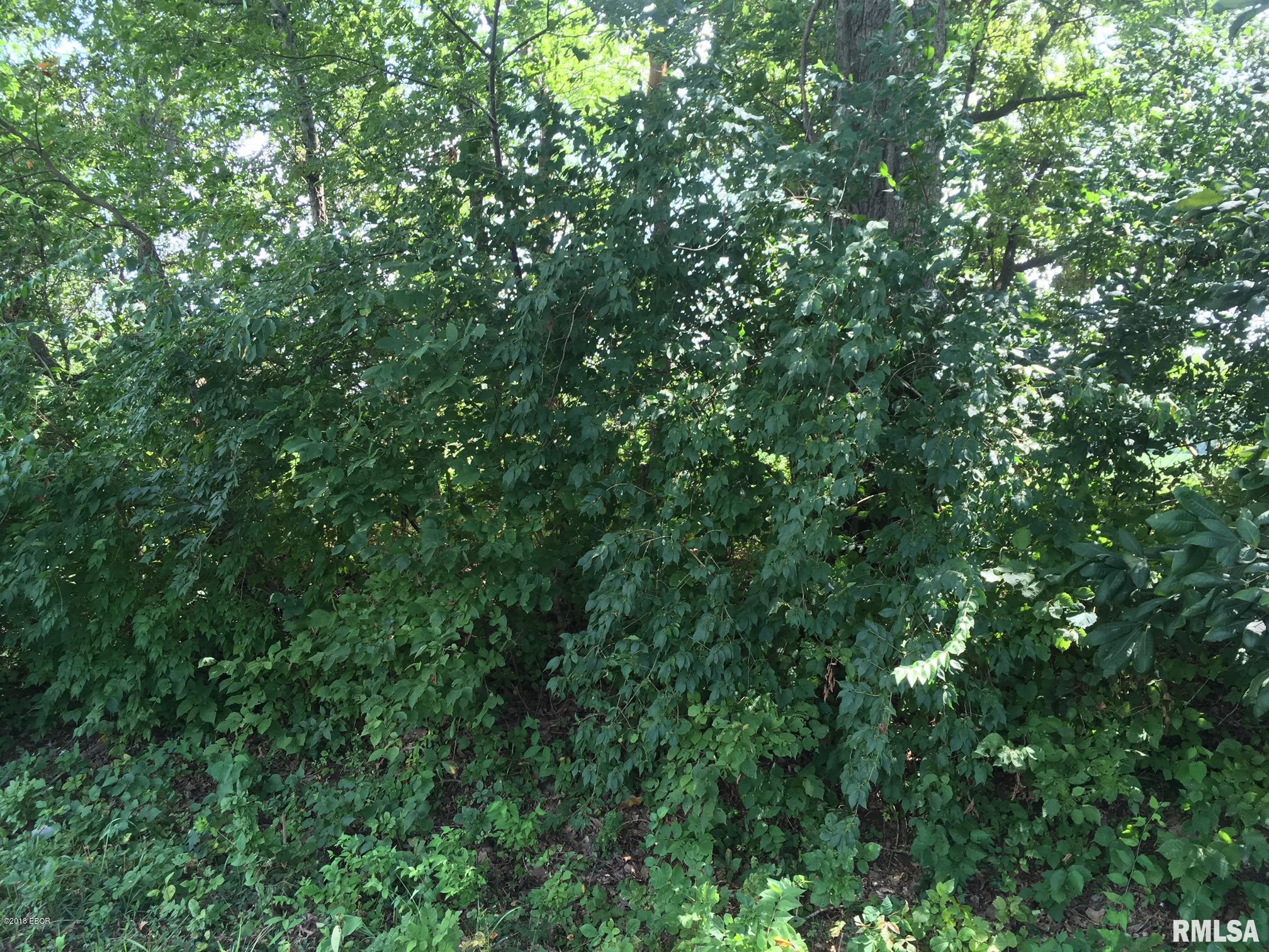 0 Coello Hill Road Mulkeytown, IL 62865 - Photo 4 of 5