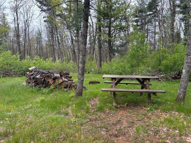 $28,500 | 6986 West Baldwin Road, Baldwin, MI 49304