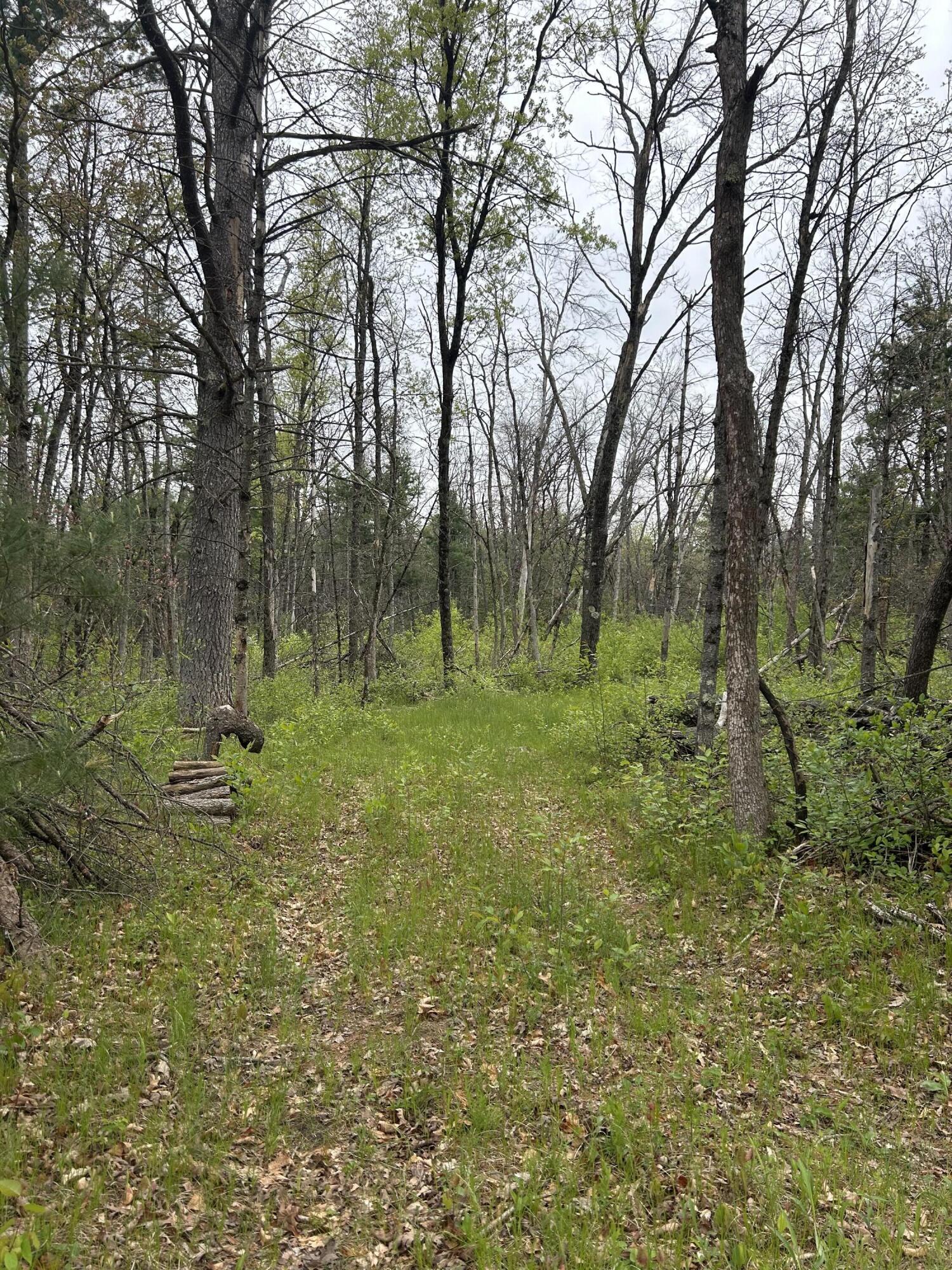 6986 West Baldwin Road Baldwin, MI 49304 - Photo 2 of 9 IMG_1242