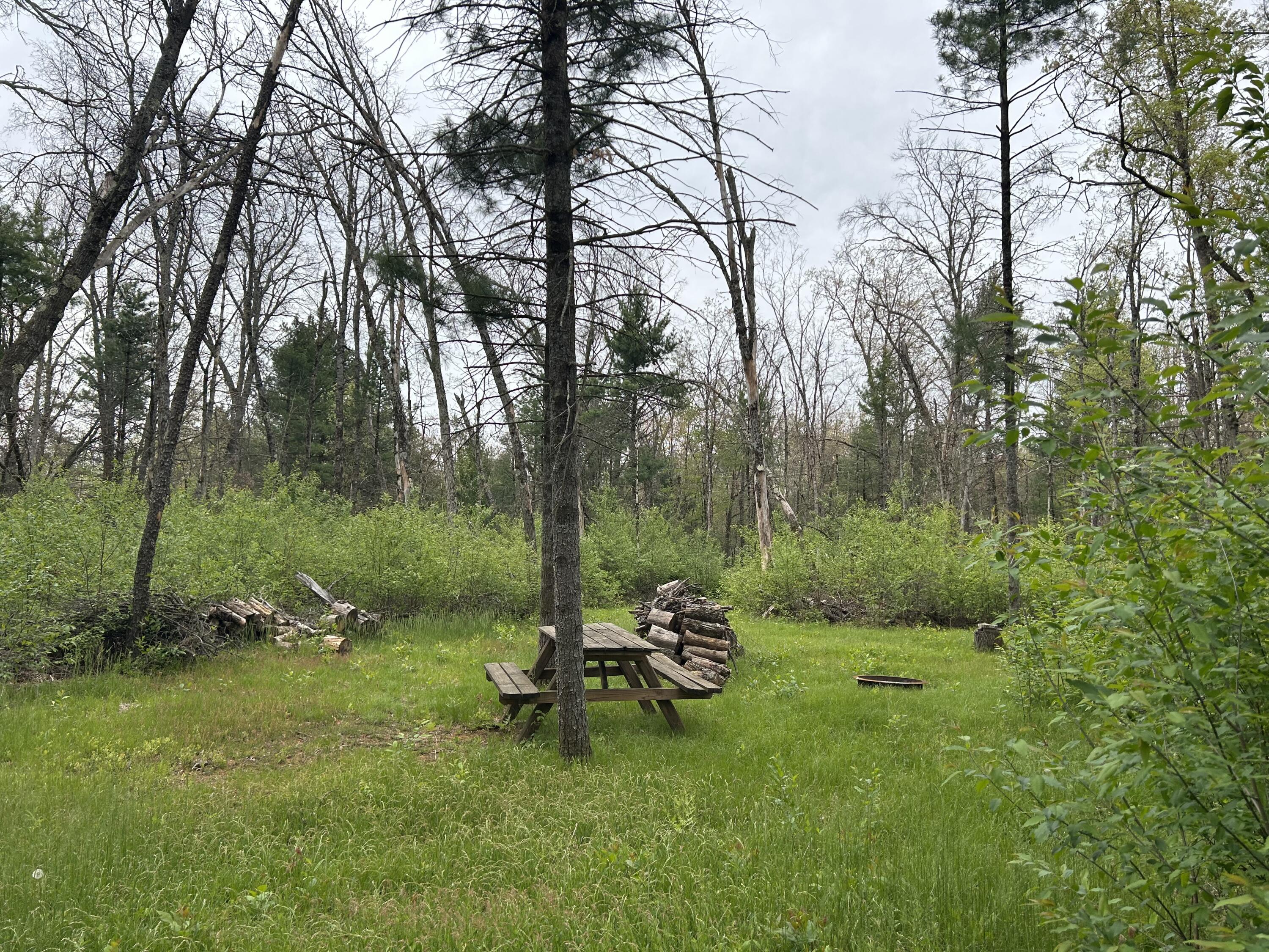 6986 West Baldwin Road Baldwin, MI 49304 - Photo 3 of 9 IMG_1248