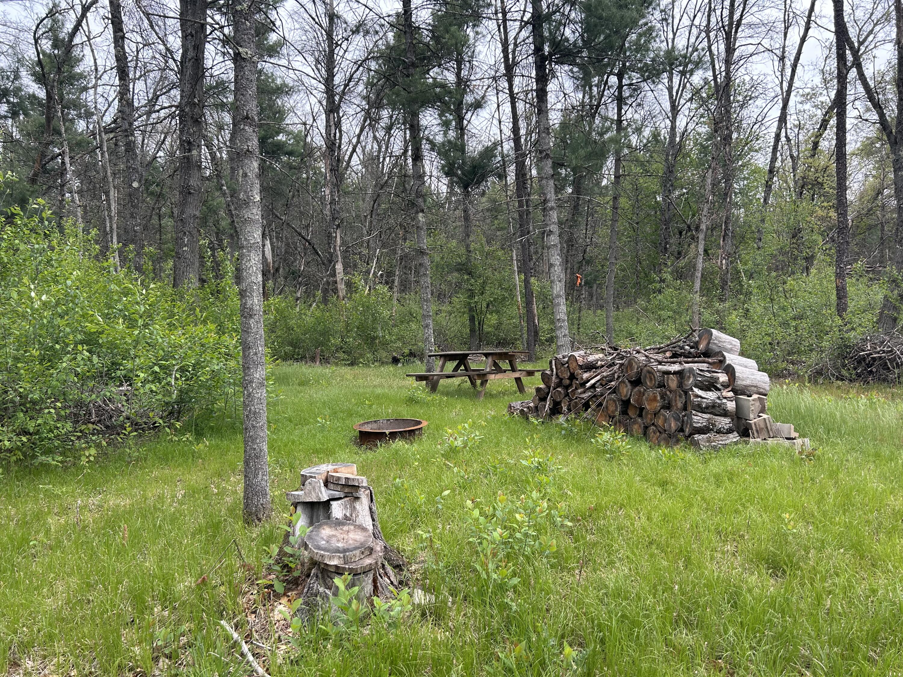 6986 West Baldwin Road Baldwin, MI 49304 - Photo 4 of 9 IMG_1246