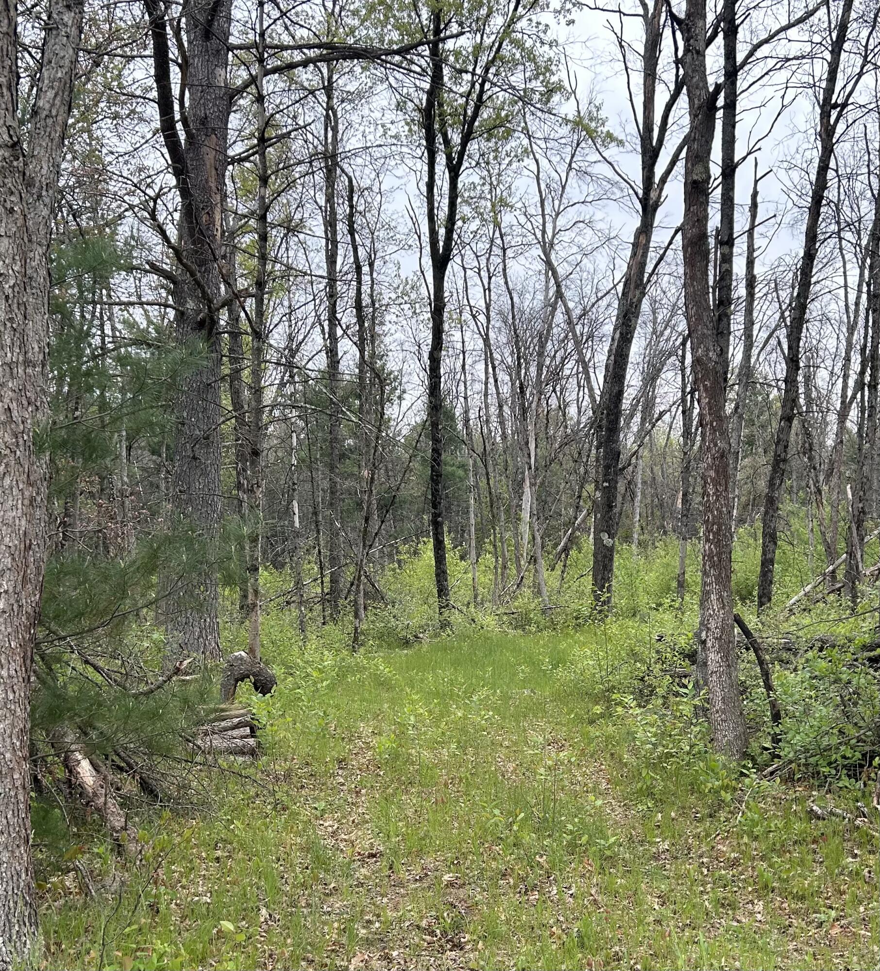 6986 West Baldwin Road Baldwin, MI 49304 - Photo 5 of 9 IMG_1250