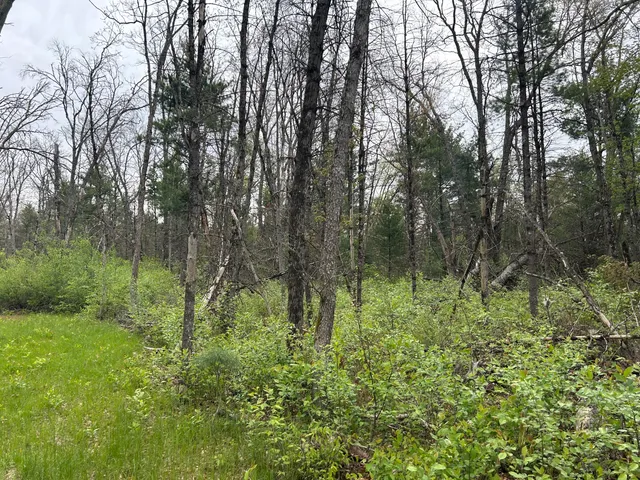 $28,500 | 6986 West Baldwin Road, Baldwin, MI 49304