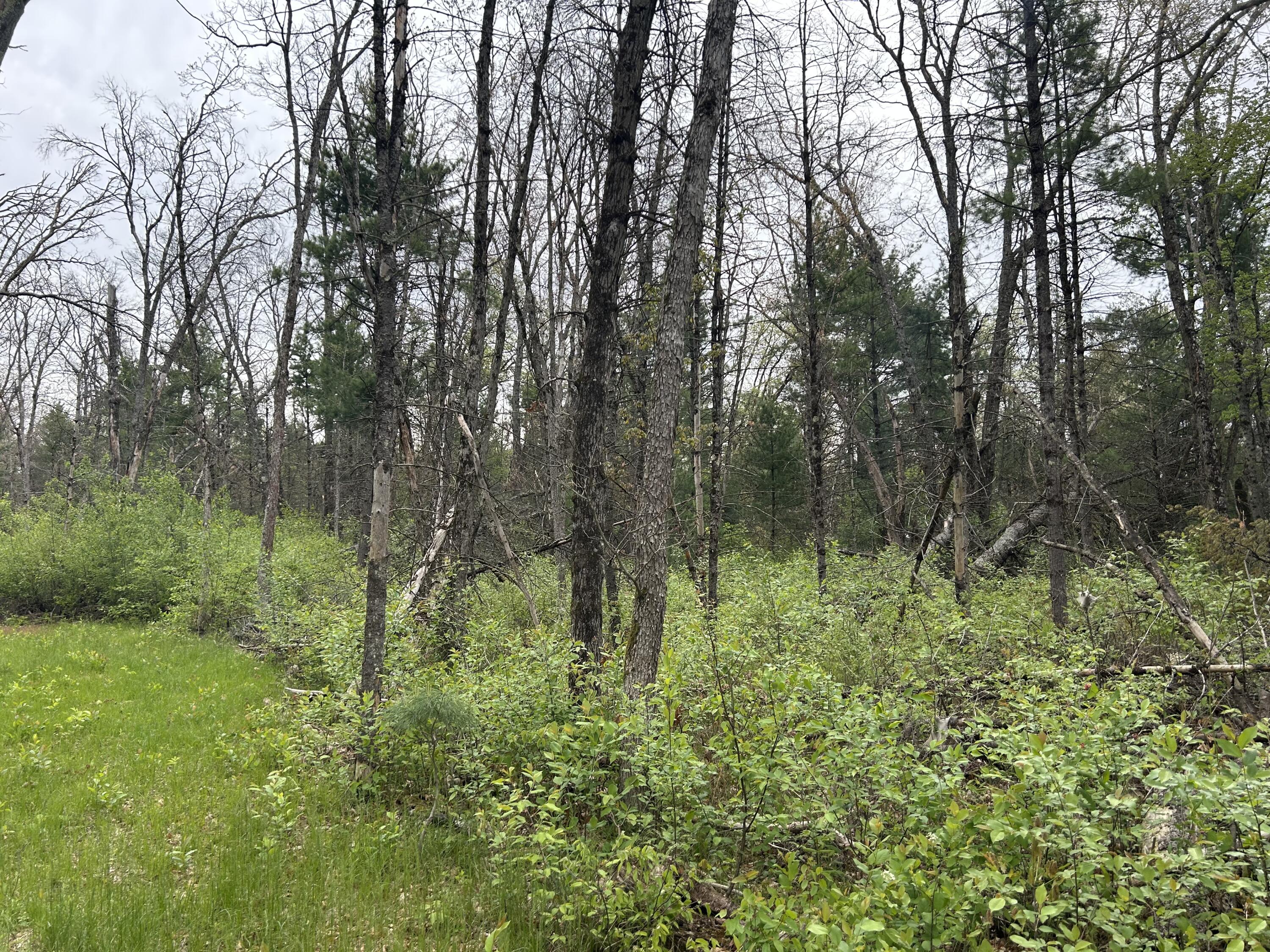 6986 West Baldwin Road Baldwin, MI 49304 - Photo 8 of 9 IMG_1243