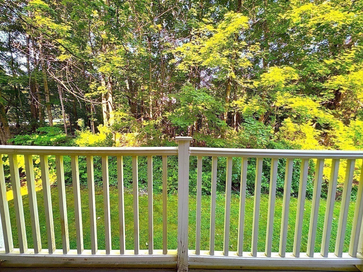 44 Evergreen Road, Unit 202 Northampton, MA 01053 - Photo 6 of 20 Gallery Image 6