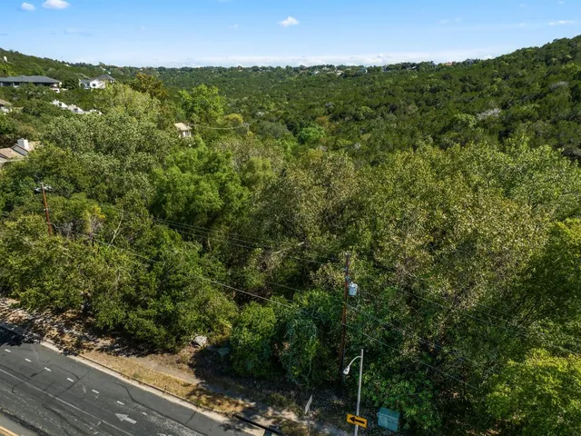 a view of a city with lush green forest