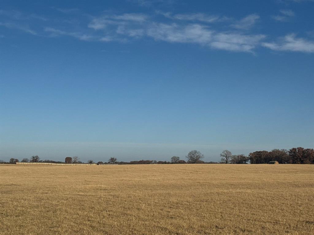 Tbd Nix Road Tolar, TX 76476 - Photo 3 of 7