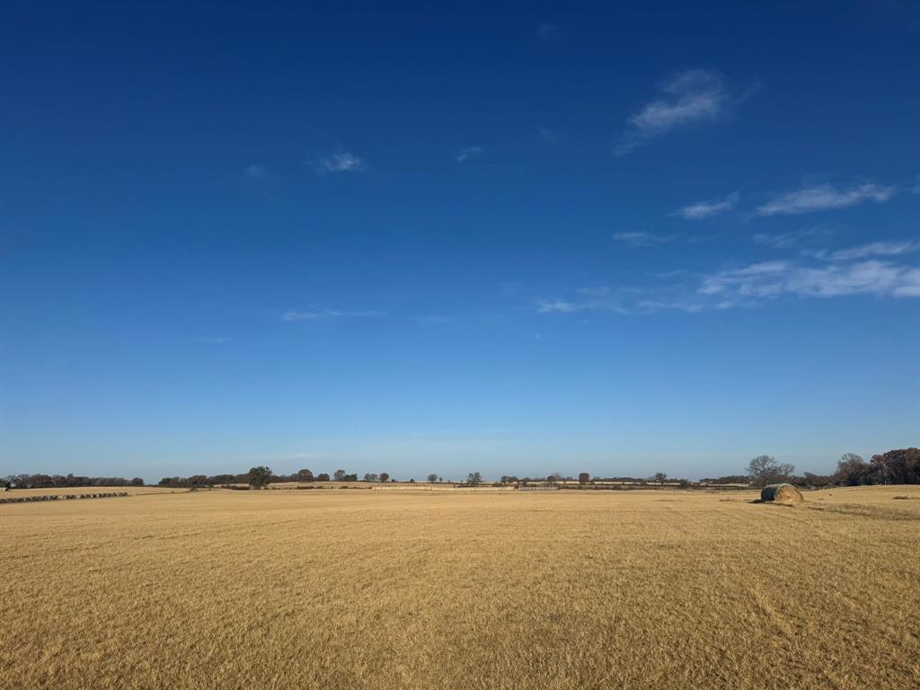 Tbd Nix Road Tolar, TX 76476 - Photo 4 of 7