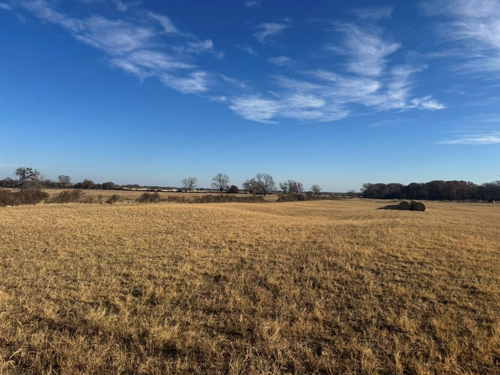 Tbd Nix Road Tolar, TX 76476 - Photo 7 of 7