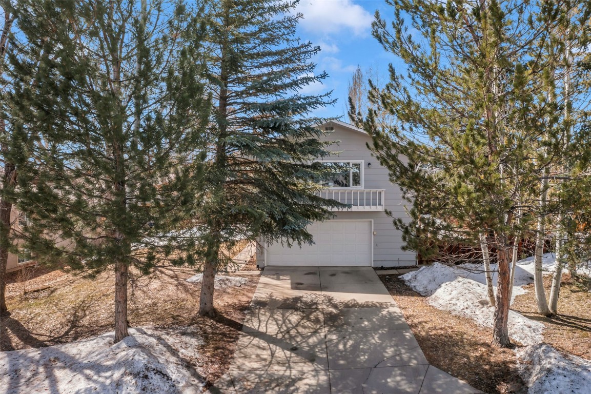 409 Clover Circle Hayden, CO 81639 - Photo 48 of 48