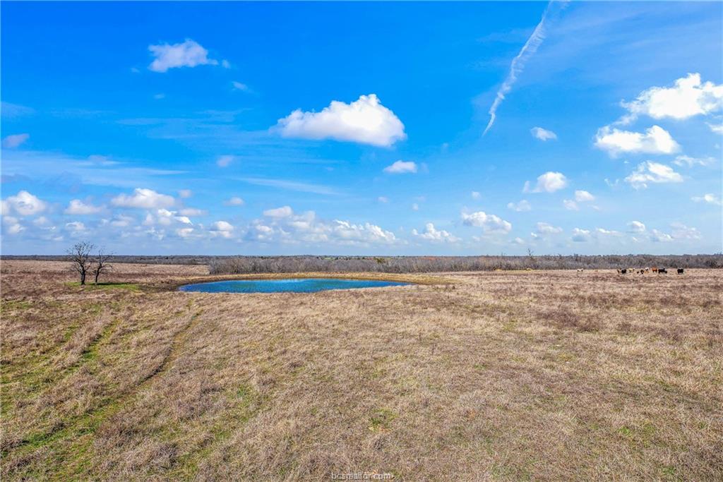 1258 Steinke Road Mart, TX 76664 - Photo 11 of 15
