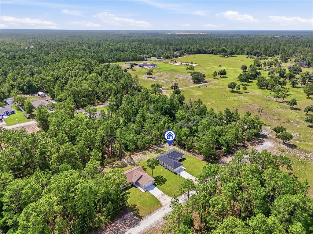 16335 Force Road Weeki Wachee, FL 34614 - Photo 45 of 54