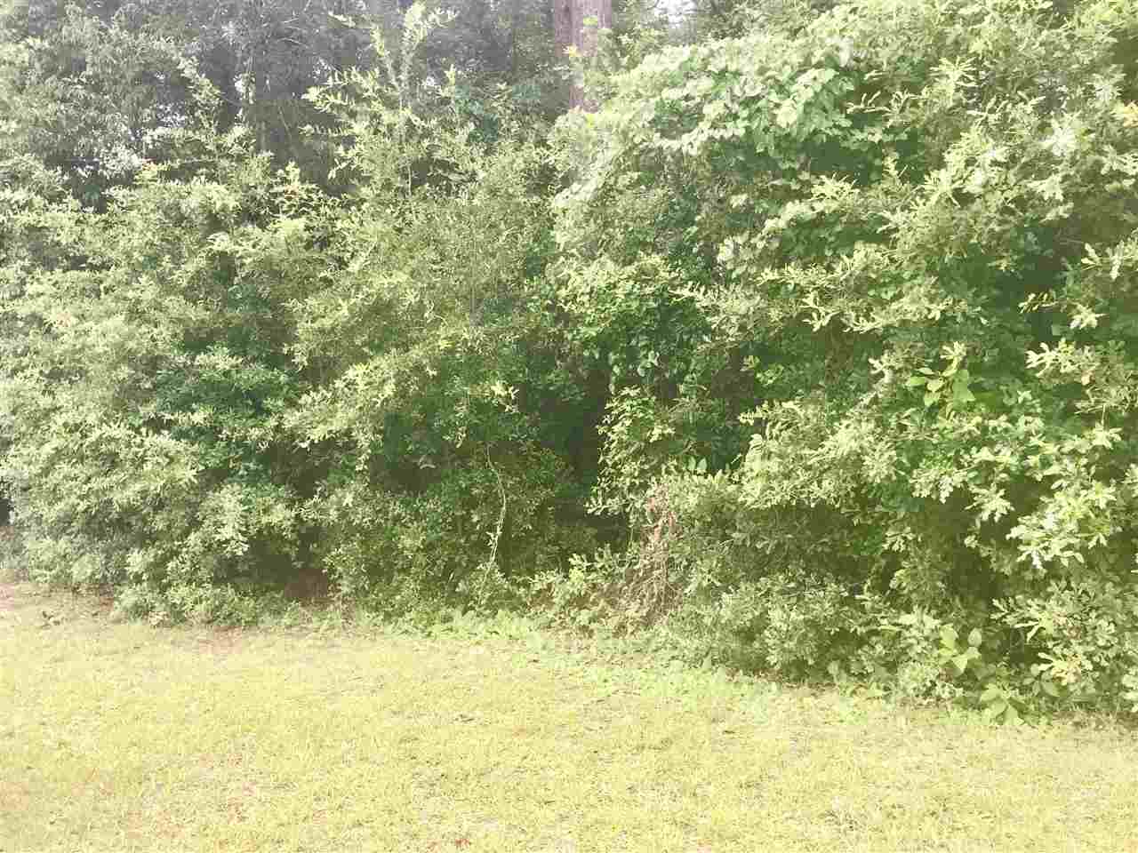 124 Meadow Wood Loop Daphne, AL 36526 - Photo 4 of 4