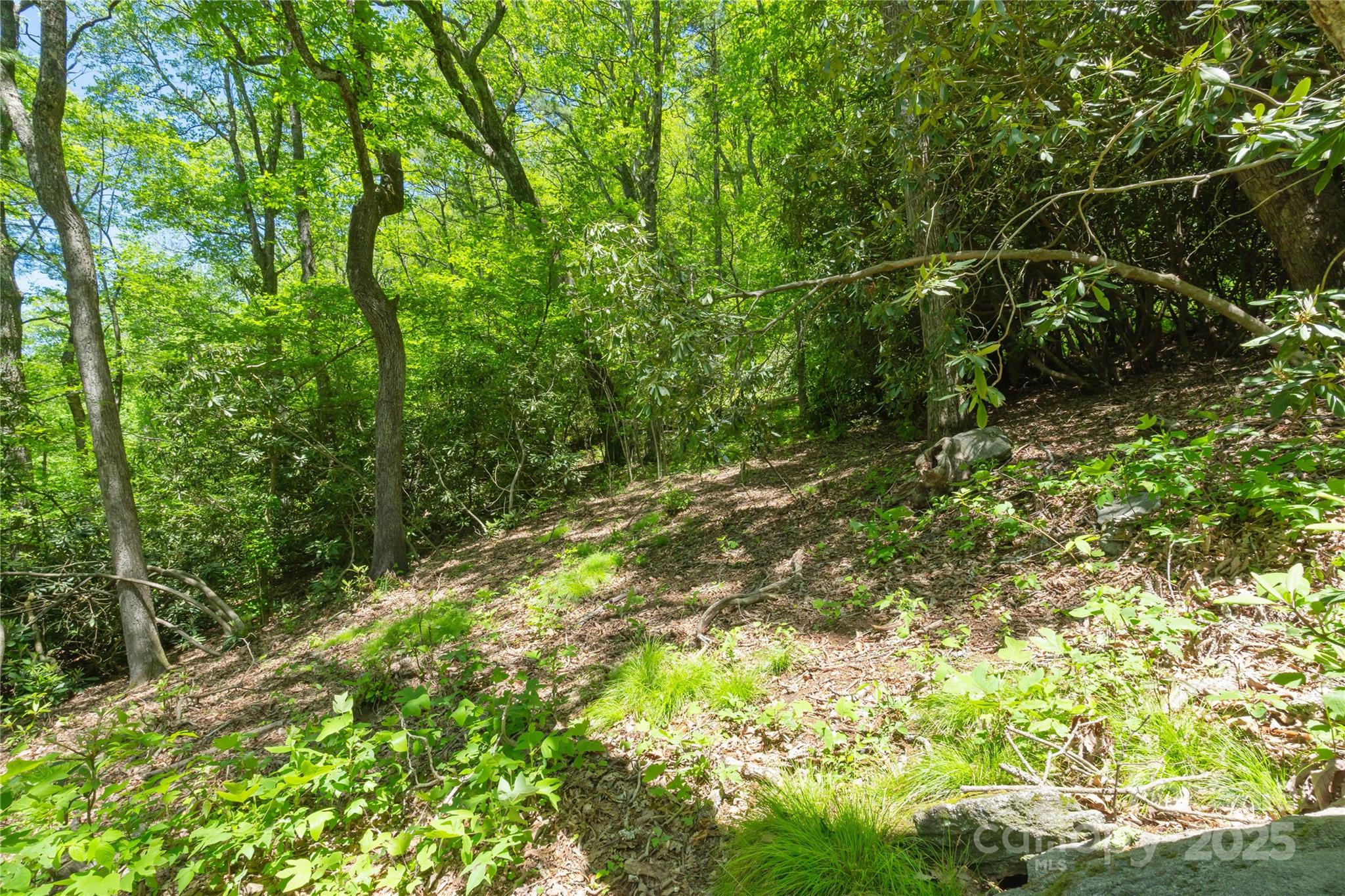 Tbd Upper Lake Road, Unit 69 Highlands, NC 28741 - Photo 3 of 3 a view of a yard with plants and large trees