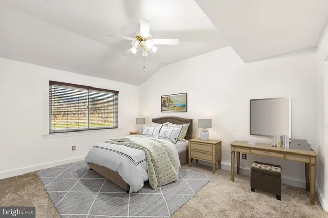 a view of a dry yard with trees