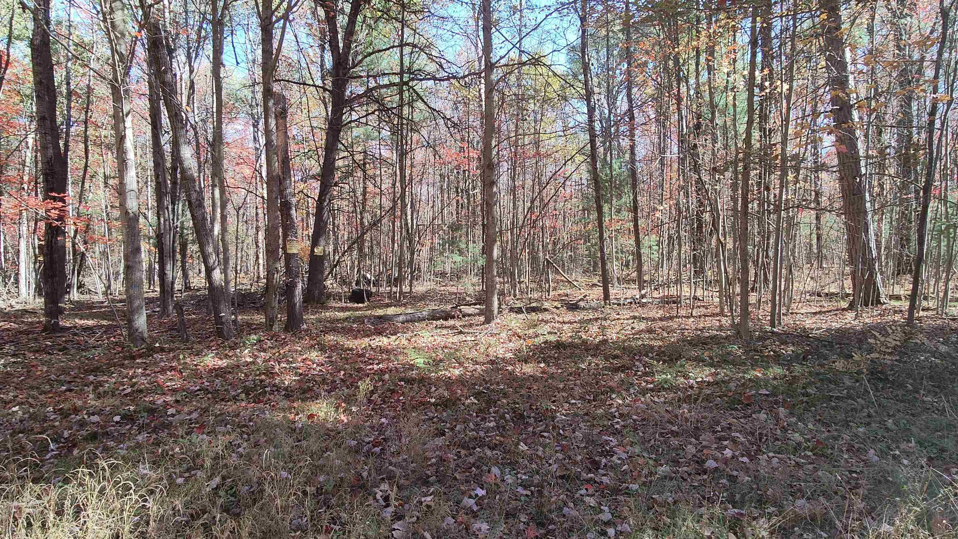 0 Timber Trail Prescott, MI 48756 - Photo 35 of 44
