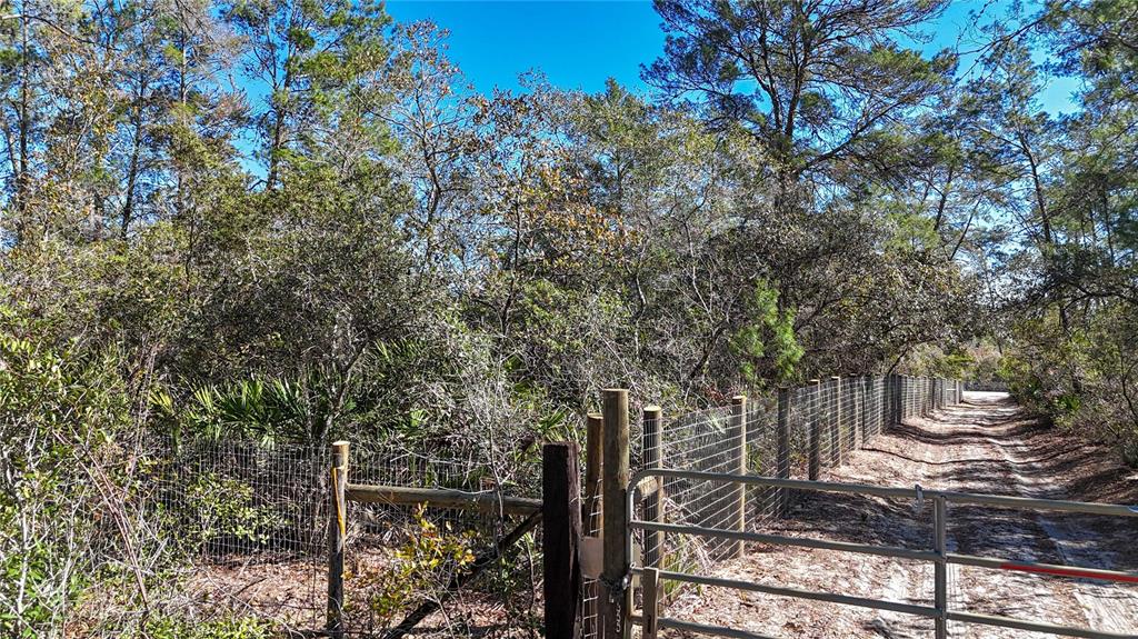 6646 North Percale Terrace Dunnellon, FL 34433 - Photo 18 of 23 a view of a yard with plants and trees