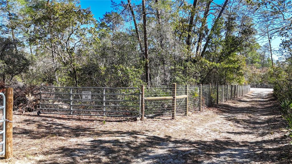 6646 North Percale Terrace Dunnellon, FL 34433 - Photo 22 of 23 a view of a backyard with wooden fence and large trees